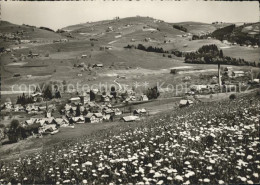 11623083 Schoenengrund AR Fruehling Schoenengrund AR - Autres & Non Classés