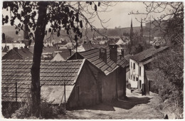 Diekirch, Vue Partielle - (Luxembourg) - 1953 - Diekirch