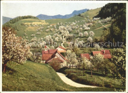 11623050 Waldenburg BL Baselbiet Fruehling Waldenburg BL - Autres & Non Classés