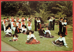 Folklore D'Alsace - Costumes Traditionnels Coiffes Musiciens Instruments De Musique - Alsace