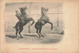 D8947 Saumur Dressage Des Sauteurs En Tendem - Saumur