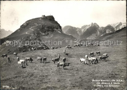 11622723 Saentis AR Hoher Kasten Altmann Kuehe Saentis AR - Autres & Non Classés