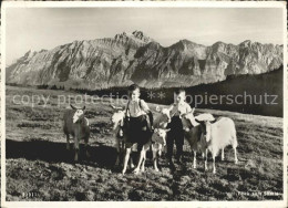 11622720 Hochalp Saentis Ziegen Kinder Hochalp - Sonstige & Ohne Zuordnung