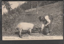 24 - PERIGUEUX - Deux Périgords Cherchant La Truffe (côte Carré 24) - Périgueux