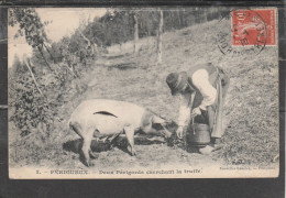 24 - PERIGUEUX - Deux Périgords Cherchant La Truffe (côte Carré 24) - Périgueux