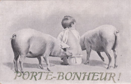 THEME.....PORTE BONHEUR - Pigs