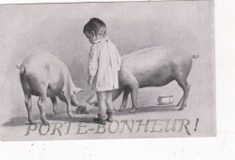 THEME.....PORTE BONHEUR - Varkens