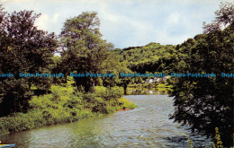 R072447 River Wye Rapids At Symonds Yat. 1970 - World