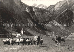 11622556 Seealpsee Kuehe Seealpsee - Autres & Non Classés