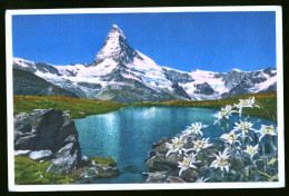 15067 - SUISSE - Bei Zermatt Matterhorn - Zermatt