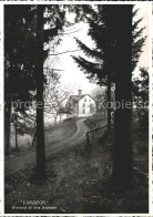 11622368 Wienacht-Tobel Landegg Bodensee Wald Wienacht-Tobel - Andere & Zonder Classificatie