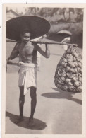 CEYLAN........CARTE PHOTO MARCHAND DE NOIX DE COCO AVRIL 1930 - Sri Lanka (Ceilán)