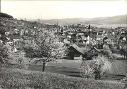 11622263 Wuerenlos Fruehling Wuerenlos - Autres & Non Classés