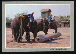 CPSM / CPM 10.5 X 15 Thaïlande (144) CHIANGMAI Elephants Au Travail En Forêt - Tailandia