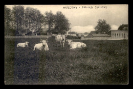 71 - MARCIGNY - PATURAGE CHAROLLAIS - VACHES - Andere & Zonder Classificatie