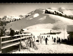 74 - SAMOENS - LE PLATEAU DES SAIX - SKI  -SKIEURS - Samoëns