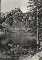 11622112 Seealpsee Rossmad Seealpsee - Autres & Non Classés