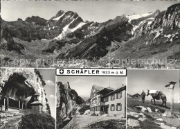 11622075 Schaefler Esel Wappen Kapelle Schaefler - Andere & Zonder Classificatie