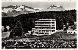 CPA Crans Montana Kanton Wallis, Hotel Continental - Altri & Non Classificati
