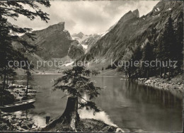 11621988 Appenzell IR See Appenzell - Andere & Zonder Classificatie