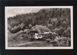 Landwirtschaft Bauernhaus Im Schwarzwald Landschaft Panorama, Titisee 27.8.1951 - Autres & Non Classés