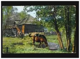 Landwirtschaft Mühle Pferde Mühlbach Koppel Wiese Bäume, Ladbergen 9.8.1913 - Autres & Non Classés