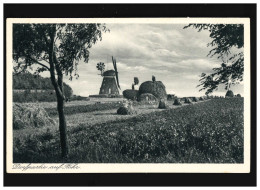 Landwirtschaft Insel Föhr Windmühle Heu Ernte Sommer Bauern, Ungebraucht - Sonstige & Ohne Zuordnung