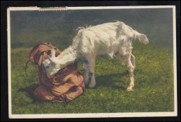 Tiere-AK Gitzi Auf Besuch: Neugierige Ziege Knabbert Am Rucksack, ADELBODEN 1928 - Autres & Non Classés