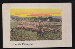 Tiere-AK Sonnenaufgang: Schäfer Mit Seiner Schafherde, BAD SALZUFLEN 6.6.1919 - Andere & Zonder Classificatie