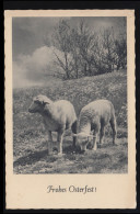 Tiere-AK Osterfest: Zwei Osterlämmer - Zwei Schafskinder, Gelaufen 14.4.1941 - Andere & Zonder Classificatie