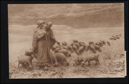 Tiere-AK Schäferpaar Mit Seiner Herde - Die Erklärung, Osijek 1926 Nach Sarajevo - Otros & Sin Clasificación