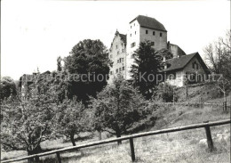 11621853 Wildegg Schloss Bergfried Palas Wildegg - Autres & Non Classés