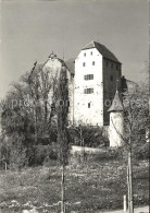 11621826 Wildegg Bergfried Palas Wildegg - Autres & Non Classés