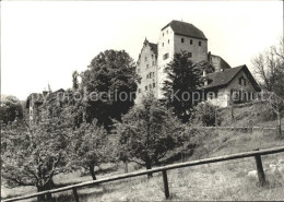 11621825 Wildegg Bergfried Palas Wildegg - Autres & Non Classés