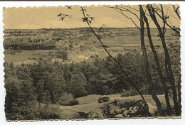 X117880 BELGIQUE NAMUR OIGNIES EN THIERACHE PANORAMA - Autres & Non Classés