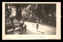 ALGERIE - MILIANA - SUR LA ROUTE DE MARGUERITTE - CARTE TAXEE - Autres & Non Classés