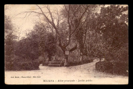 ALGERIE - MILIANA - ALLEE PRINCIPALE - JARDIN PUBLIC - VOIR ETAT - Sonstige & Ohne Zuordnung