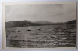 ROYAUME-UNI - ECOSSE - INVERNESS - Photo Of The Loch Ness Monster By Mr. L. Stuart On 14 July 1952 - Inverness-shire