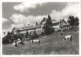 11621401 Weissenstein SO Hotel Kurhaus Weissenstein Sesselbahn Viehweide Weissen - Andere & Zonder Classificatie