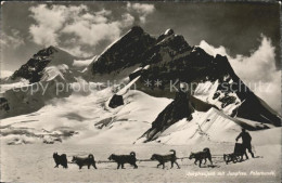 11621323 Jungfraujoch Mit Jungfrau Und Polarhunden Jungfraujoch - Autres & Non Classés