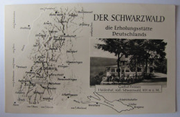 ALLEMAGNE - BADE-WURTEMBERG - Der Schwarzwald - Sonstige & Ohne Zuordnung