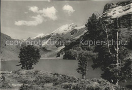 11621253 Engstlensee Mit Alpenpanorama Innertkirchen - Altri & Non Classificati