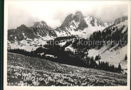 11621213 Gantrisch Gantrischgebiet Panorama Gantrisch - Sonstige & Ohne Zuordnung