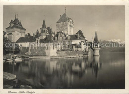 11621164 Thunersee Schloss Oberhofen Scherzligen - Autres & Non Classés