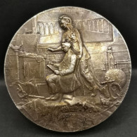 MEDAILLE ARGENT 48.5g 45mm LYCEE DE TOULOUSE CONSEIL D'ADMINISTRATION / SILVER - Otros & Sin Clasificación