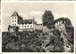 11621047 Burgdorf Bern Das Schloss Burgdorf - Altri & Non Classificati