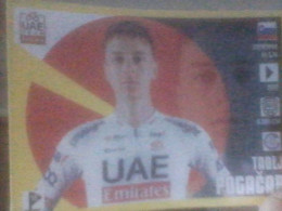 CYCLISME 2024 : STICKER PANINI TADEJ POGACAR UAE - Radsport