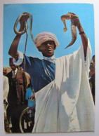 MAROC - Enchanteur De Serpents - Andere & Zonder Classificatie