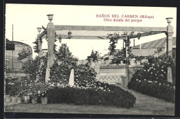 Postal Malaga, Banos Del Carmen, Otro Detalle Del Parque  - Malaga