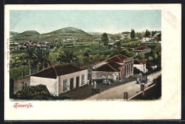 Postal Tenerife, Blick Auf Gehöfte In Grüner Landschaft  - Tenerife